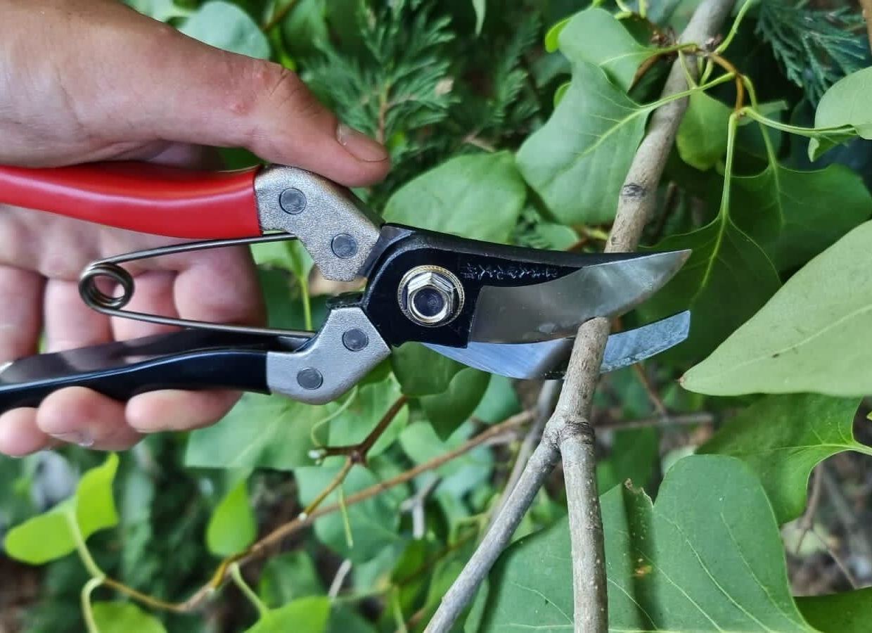 Kimura Samurai 8” Pruning Shears, Yasugi Steel, Made in Japan
