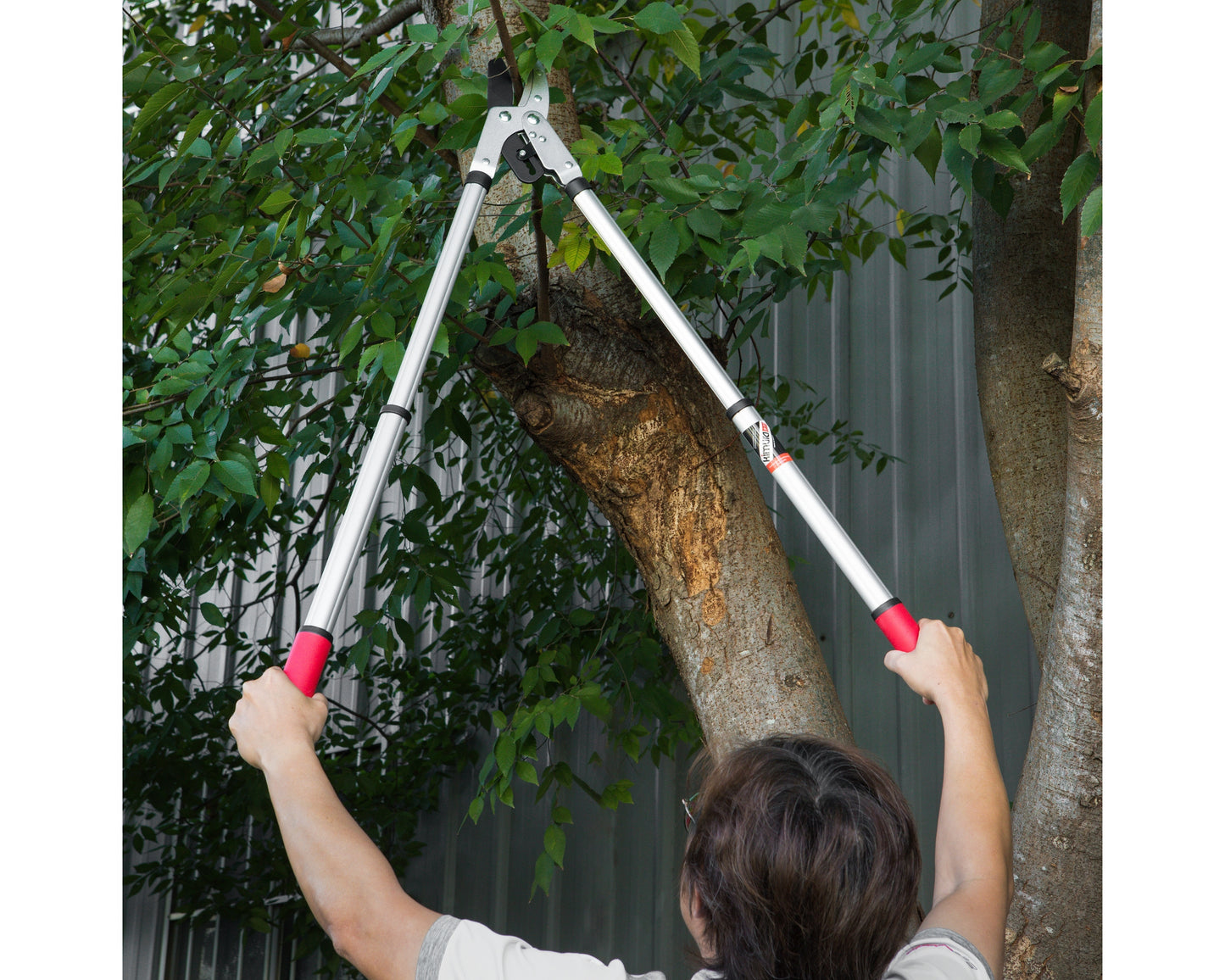 Kimura Pro Ratchet Loppers, Japanese SK5 Steel Blades, Telescopic