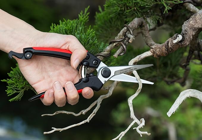 Kimura Pro 8” Pruning Scissors, Japanese Hi-Carbon SK5 Steel Blades