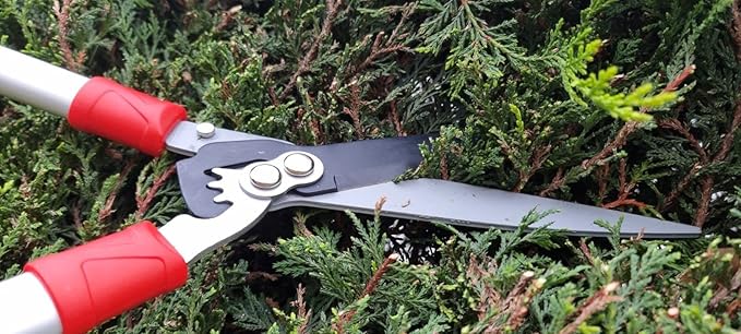 Hedge Shears (Pro 201)