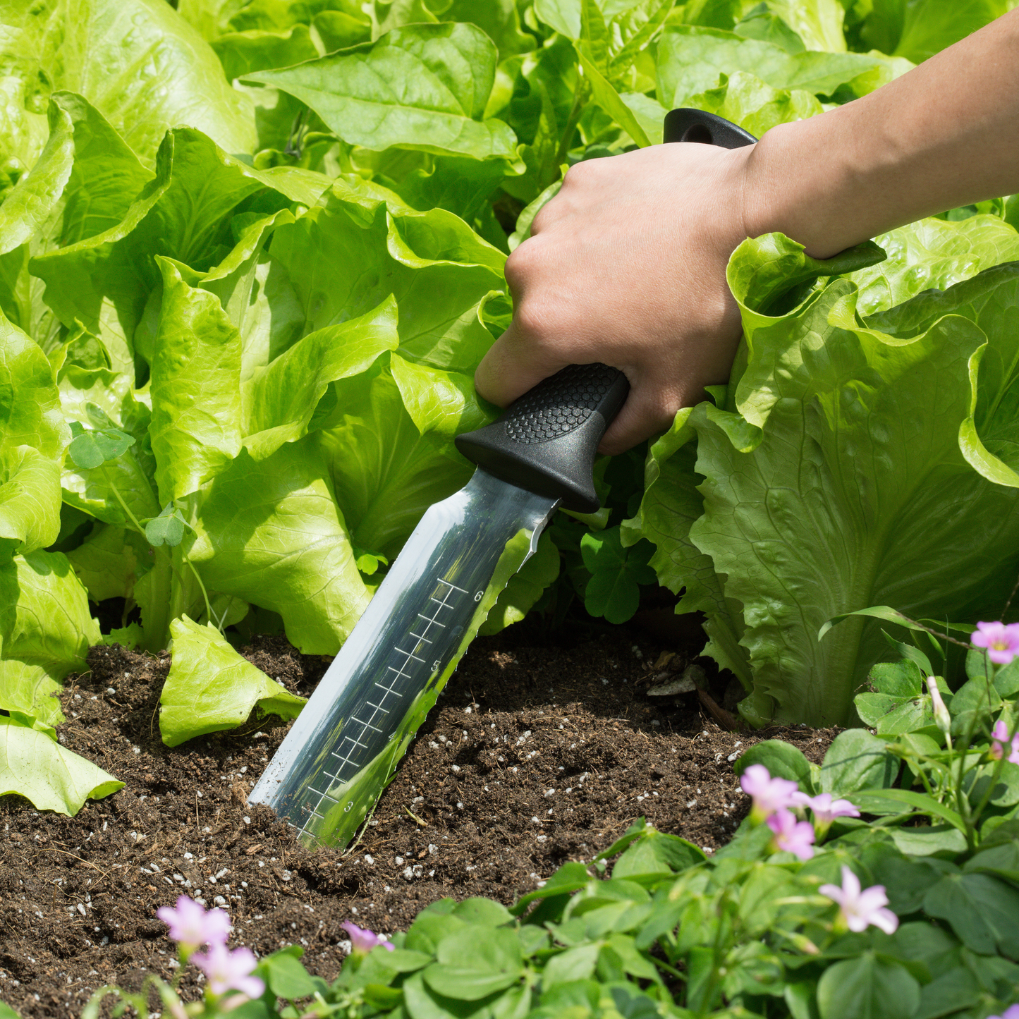 Pro Trowel
